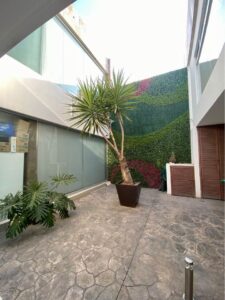 Consultorio en Venta San Juan del Rio